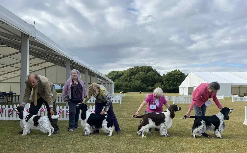 ESSC Open Show July 2025