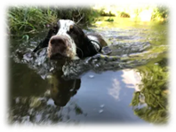 Judges Education Programme